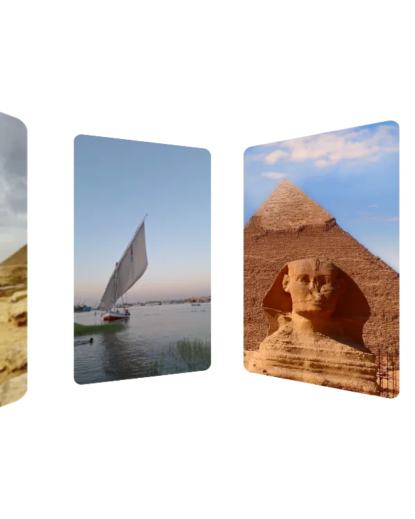 شكل جوه الحلقة